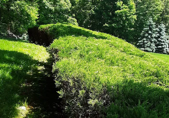 Warburg Park Picture 8
