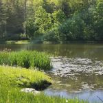 Cedar Lane Town Park