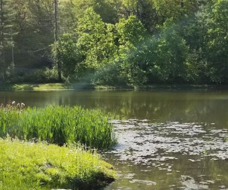Cedar Lane Town Park