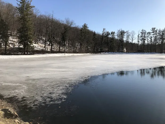 Cedar Lane Town Park Picture 4