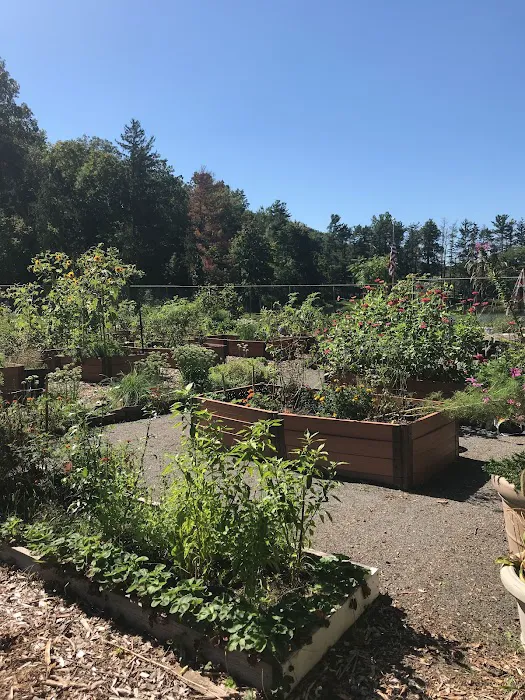 Ossining Organic Community Garden Picture 5