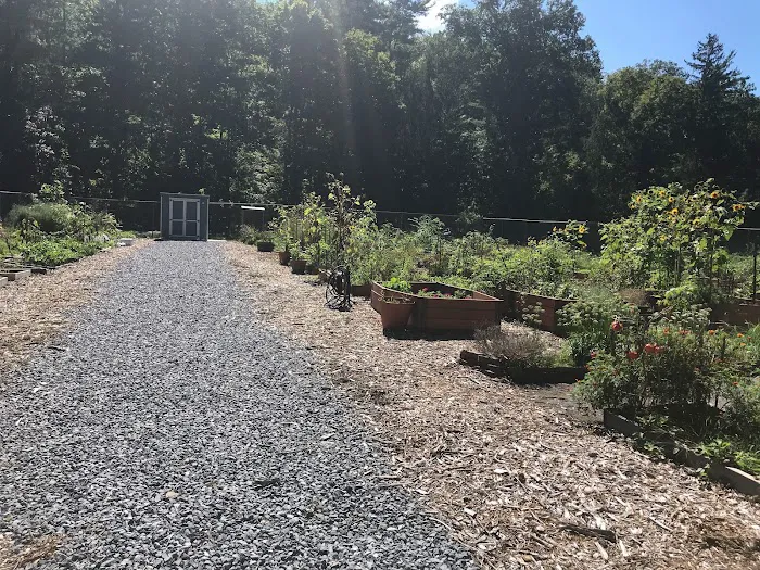 Ossining Organic Community Garden Picture 4