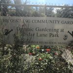 Ossining Organic Community Garden