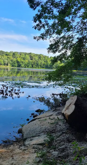 Teatown Lake Reservation Picture 4