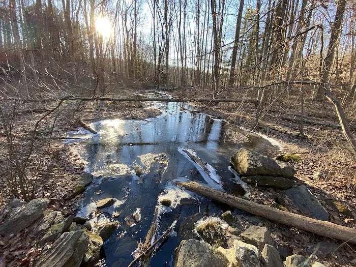 Teatown Lake Reservation Picture 3