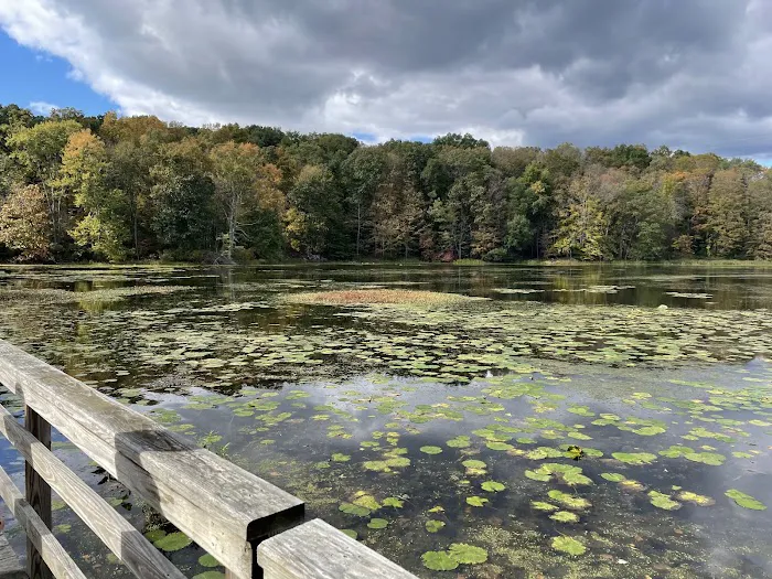Teatown Lake Reservation Picture 1