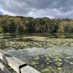 Teatown Lake Reservation