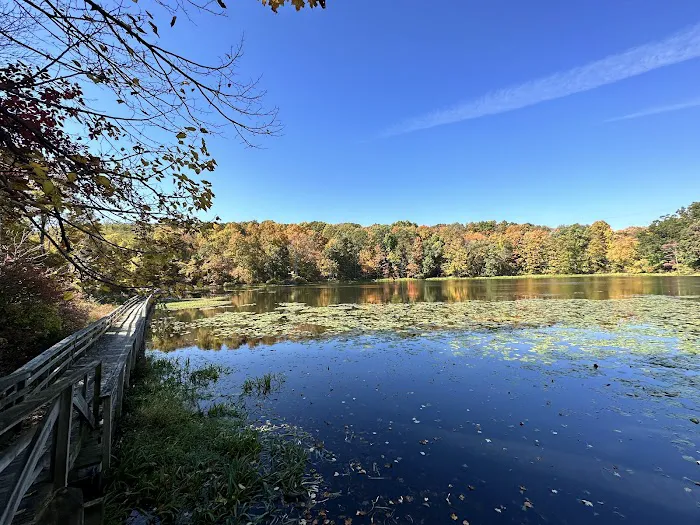 Teatown Lake Reservation Picture 5