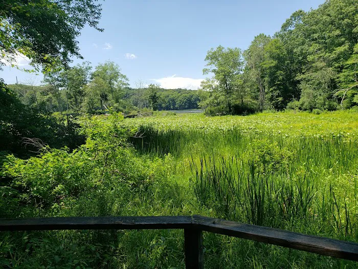Teatown Lake Reservation Picture 7