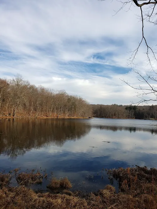 Teatown Lake Reservation Picture 10