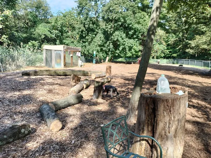Ossining Dog Park Picture 1