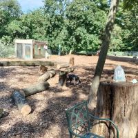 Ossining Dog Park ico
