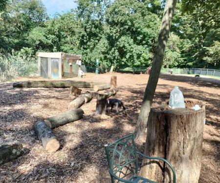 Ossining Dog Park