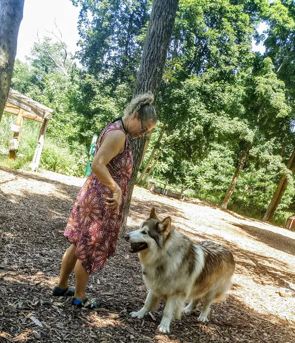 Ossining Dog Park Picture 6