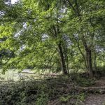 Peninsula Wetlands