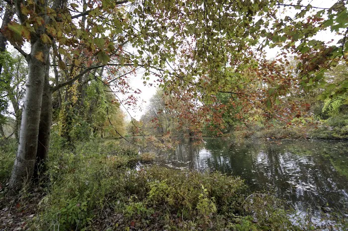 Peninsula Wetlands Picture 8