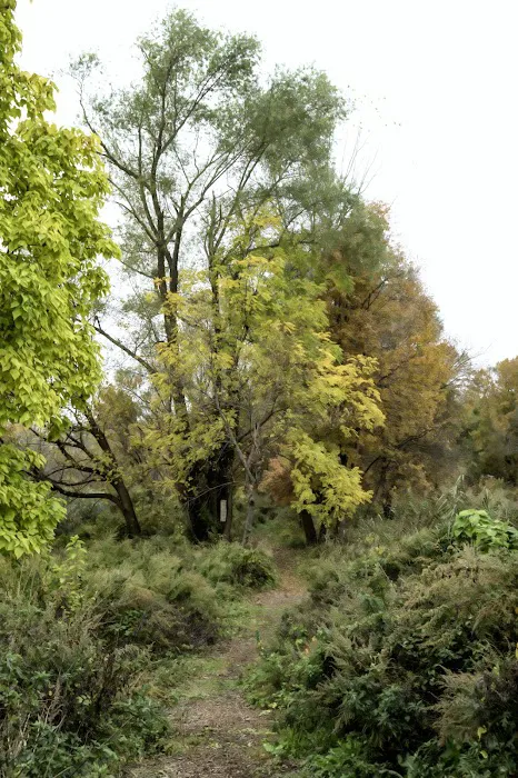 Peninsula Wetlands Picture 10