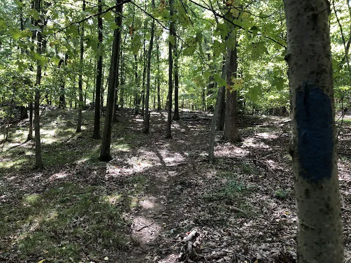 Choate Audubon Sanctuary Picture 3