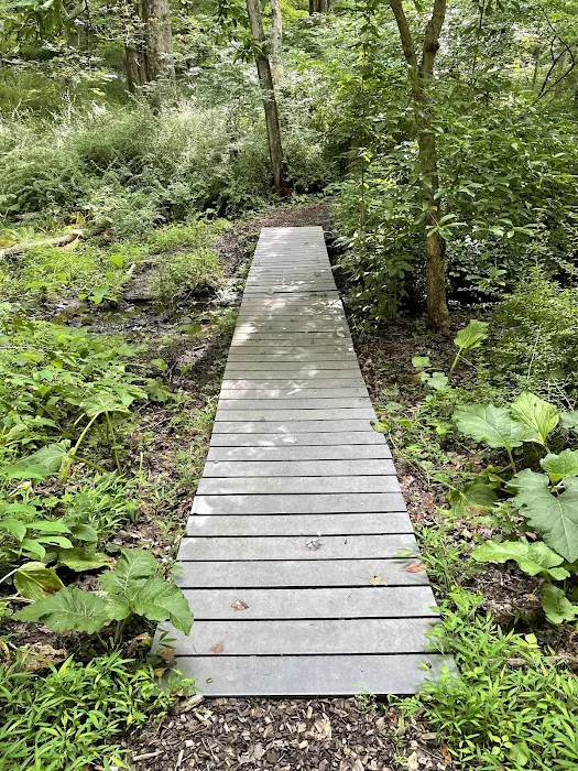 Choate Audubon Sanctuary Picture 4