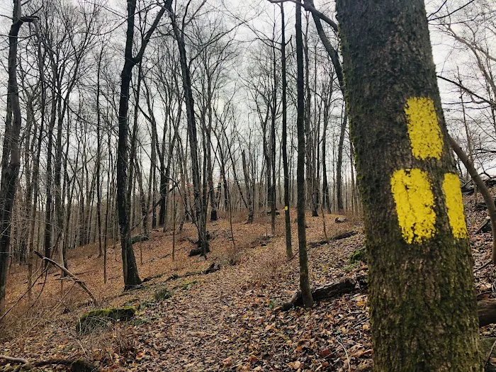 Choate Audubon Sanctuary Picture 5