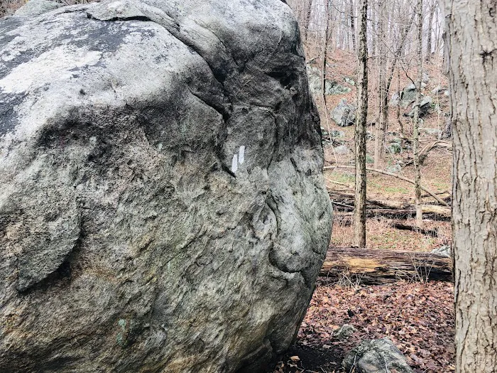 Choate Audubon Sanctuary Picture 8