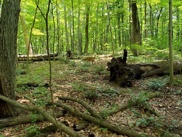 Parking for Kitchawan Preserve Picture 4
