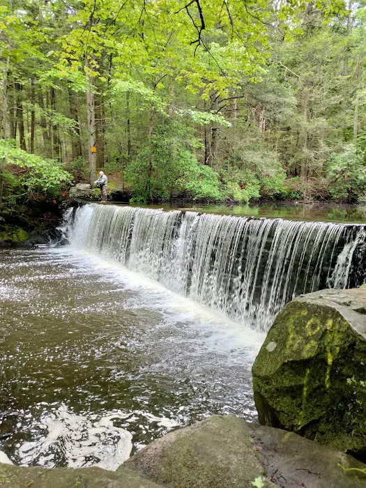Newman Mills Park Picture 8