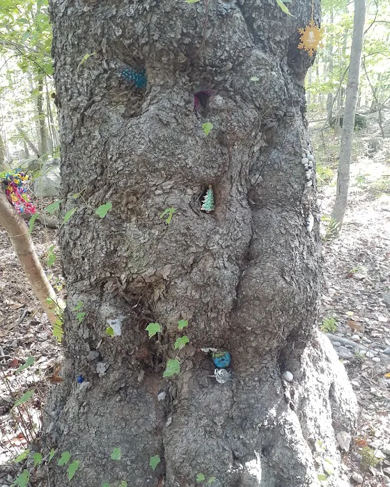 Helen Altschul Preserve Picture 4