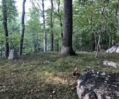 Helen Altschul Preserve