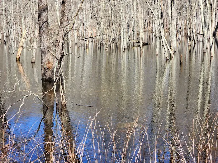 Helen Altschul Preserve Picture 3