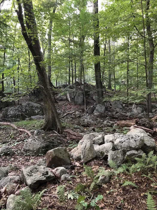 Helen Altschul Preserve Picture 2
