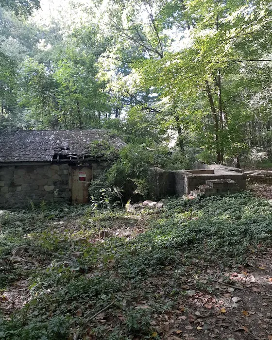Helen Altschul Preserve Picture 6