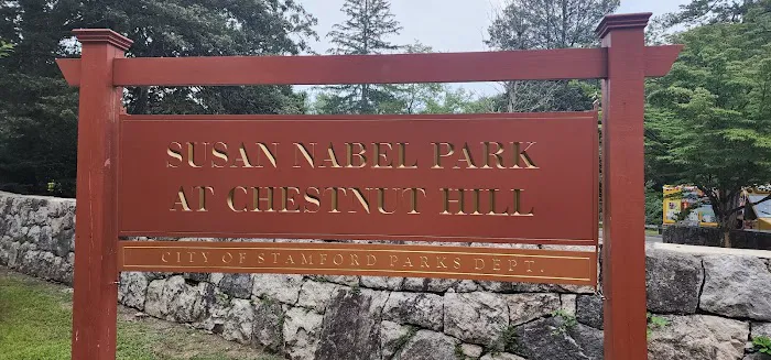 Susan Nabel Park at Chestnut Hill Picture 1