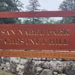 Susan Nabel Park at Chestnut Hill