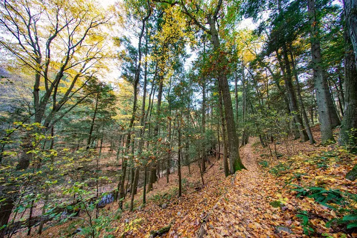 Mianus River Gorge Preserve Picture 9