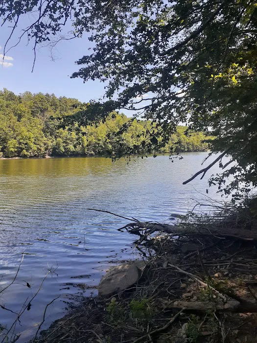 Mianus River Gorge Preserve Picture 7