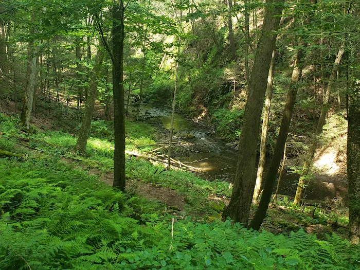 Mianus River Gorge Preserve Picture 3