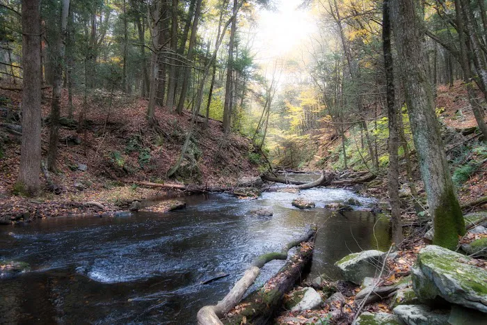 Mianus River Gorge Preserve Picture 5