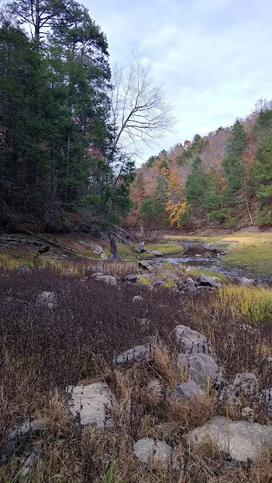 Mianus River Gorge Preserve Picture 10