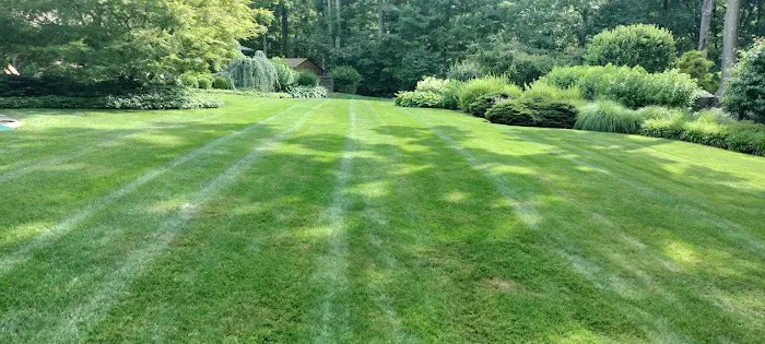 Bedford Village Memorial Park Picture 7