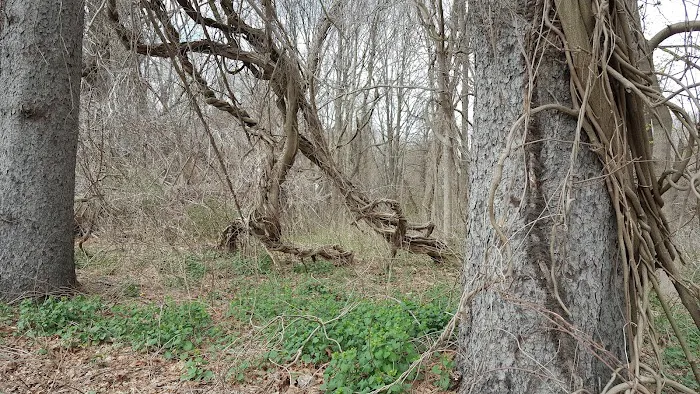 Bedford Village Memorial Park Picture 10
