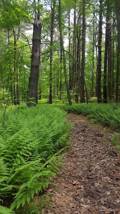 Guard Hill Preserve Picture 5