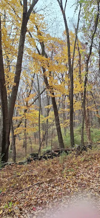 Guard Hill Preserve Picture 8