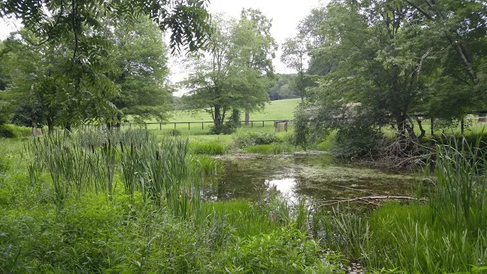 Guard Hill Preserve Picture 4