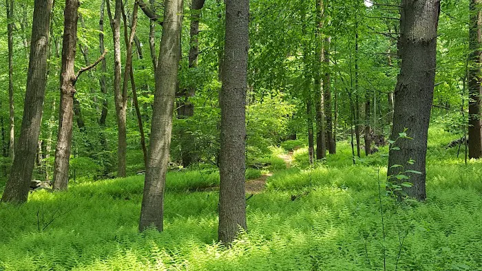 Guard Hill Preserve Picture 10