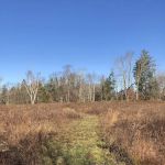 Tom Burke Preserve