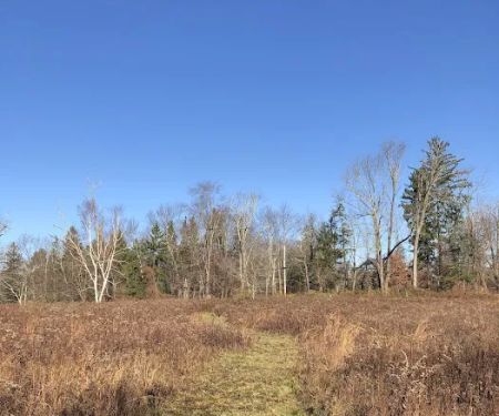 Tom Burke Preserve