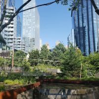 West End Park ico