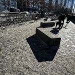 Riverside Park South Dog Run at 66th Street