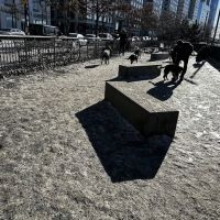 Riverside Park South Dog Run at 66th Street ico